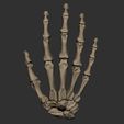 skeleton-hand-3d-model-obj-fbx-stl-9.jpg Skeleton Hand