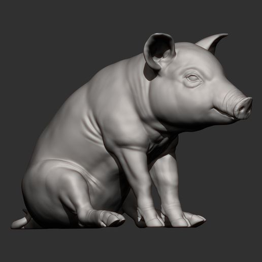 Baby-pig-sitting7.jpg Baby pig sitting 3D print model