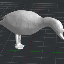 2__.png Bird realistic King eider standing