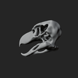 untitled3.png SKULL TERROR BIRD