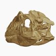 37.jpg Allosaurus skull