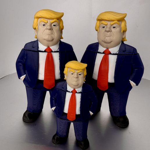 Trump Flexi