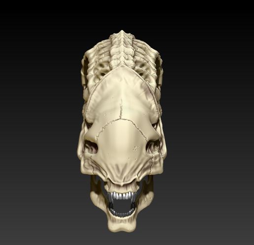 13.jpg ALIEN VS PREDATOR SKULL PACK