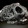 preview6.jpg Filigree Anatomical Bobcat Skull