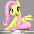 1_1.jpg Fluttershy - My Little Pony