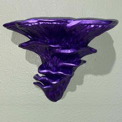 Mushroom shelf “Pleurotus Djamor”