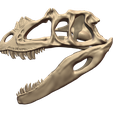 06.png Ceratosaurus