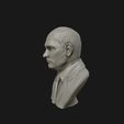 13.jpg 3D Sculpture of Vladimir Putin 3D printable model