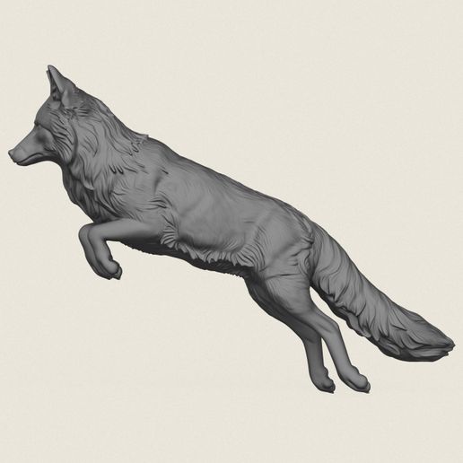 Wild-Fox-Jumping-04.jpg Raposa selvagem a saltar