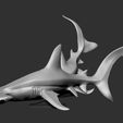SH01.jpg Hammerhead shark