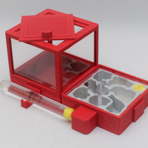 _MG_8728.jpg Ant farm formicarium horizontal Xbox