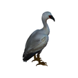 model-2.png white heron bird
