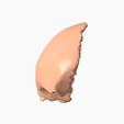 3.png FRONTAL BONE SEGMENTED 3D MODEL