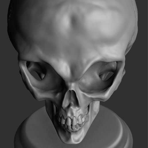 👽 alien skull・ STL File for ・Cults