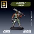 A1.jpg Commando: Command Squad