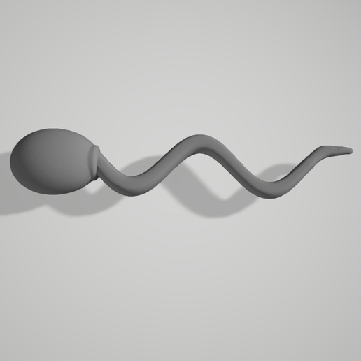 sperm - 3D model önizlemesi