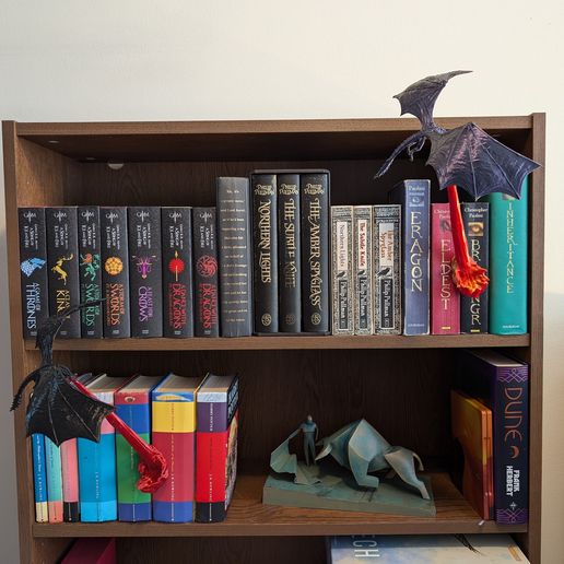 Flying_dragon_book_nook_3D_print_STL_20240823_110055755.jpg Flying Dragon Book Nook