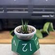 d12-12.jpg D12 Flower Pot