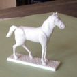 D1G2T1Q1_1.JPG Download file Napoleonic figures 40mm Horse at rest (2) • 3D print template, Rio31