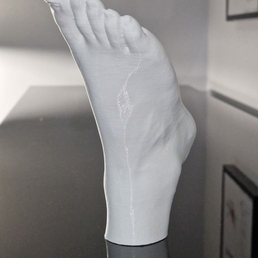 5.jpg Human foot