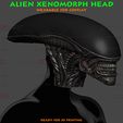 08c.jpg Alien Xenomorph Head Decor Wearable Cosplay