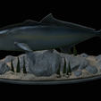 Greater-Amberjack-statue-1-19.png fish greater amberjack / Seriola dumerili statue underwater detailed texture for 3d printing