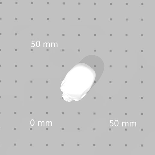 product_image_14568.jpg Human Skull