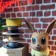 IMG_20230519_103815_778.jpg pokemon / eevee divided into colors