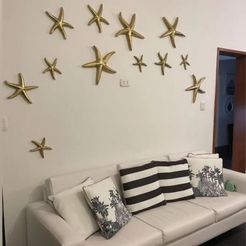 Estrellamar11.jpg Elegant starfish for wall