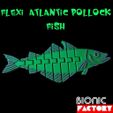 flexi-atlantic-pollock-fish-1.jpg Atlantic Pollock fish