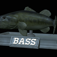 Bass-mouth-2-statue-4-13.png fish Largemouth Bass / Micropterus salmoides in motion open mouth statue detailed texture for 3d printing