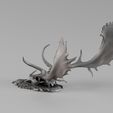 Render_01_030032.jpg 001731 Fallow Deer Skull – Raw 3D Scan