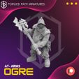 resize-ogre-at-arms-3.jpg Ogre at Atms