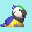 Cod500-Baby-Macaw-5.jpeg Baby Macaw