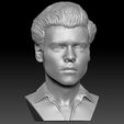 12.jpg Harry Styles bust 3D printing ready stl obj formats