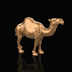 sqear.3.png Camel