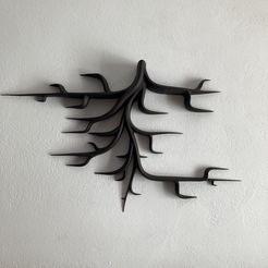 IMG_5446.jpg Archivo 3D estantería de raiz・Diseño para descargar y imprimir en 3D