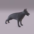 GShepherd_0001.jpg Dogs bundle