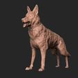 03.jpg German Shepherd model 3D print model