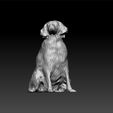 doog222.jpg Dog - cute dog - toy for kids - decorative dog - dog for 3d print