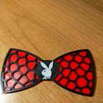 IMG20211115184630.jpg bow tie,Papillon Voronoi PLAY BOY