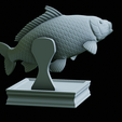 Carp-trophy-statue-30.png fish carp / Cyprinus carpio in motion trophy statue detailed texture for 3d printing