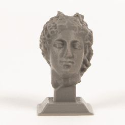 Museum_Heads_Roman_display_large.jpg Free STL file Roman・3D printing idea to download