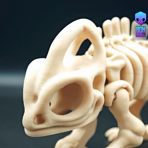 img_Chemeleon_010.jpg SKELETON CHAMELEON - ARTICULATED - PRINT-IN-PLACE - FLEXI