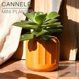 CANNELE_free-standing-planter_orange-sunny.jpg CANNELÉ | Fast-print mini Planter