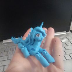 IMG_20221001_164535_278.jpg OBJ file izzy pony articulated.・3D printing template to download, jorgeps4