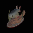 Perlin-12.png fish common rudd statue detailed texture for 3d printing