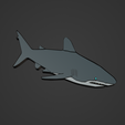 2.png Shark Animal