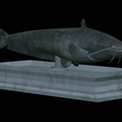 Catfish-statue-10.png fish wels catfish / Silurus glanis statue detailed texture for 3d printing
