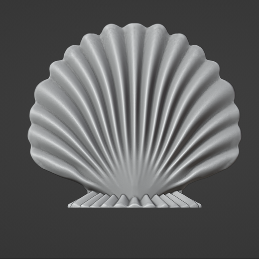 2023-09-23_19-53-25.png SEA ​​SHELL